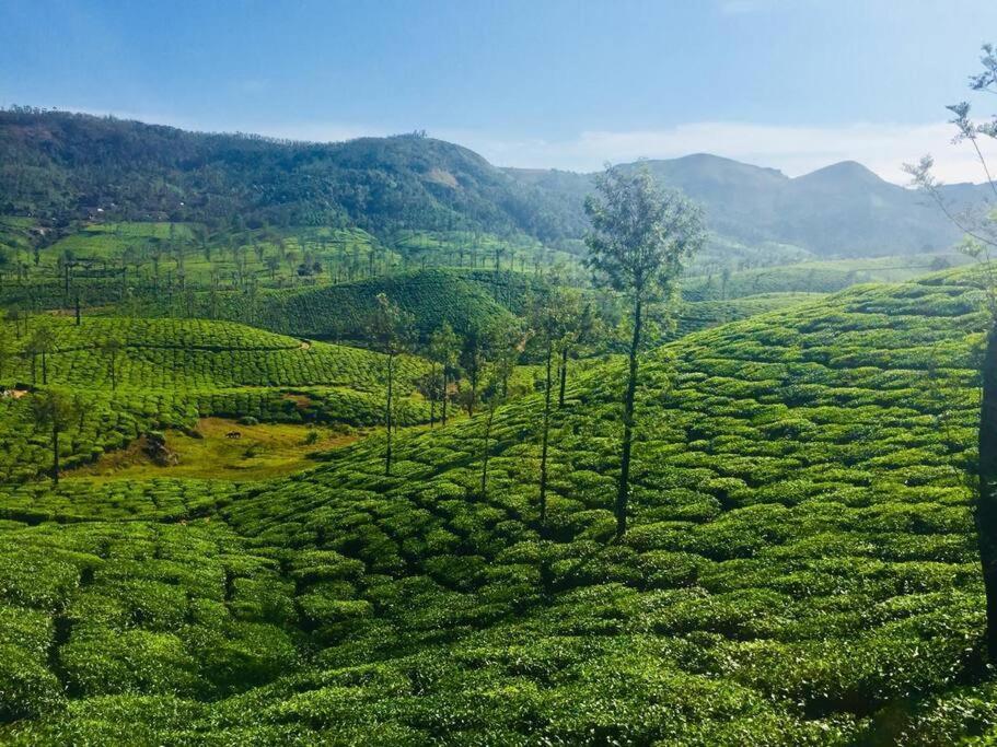 Breezy Point Vagamon Exterior foto