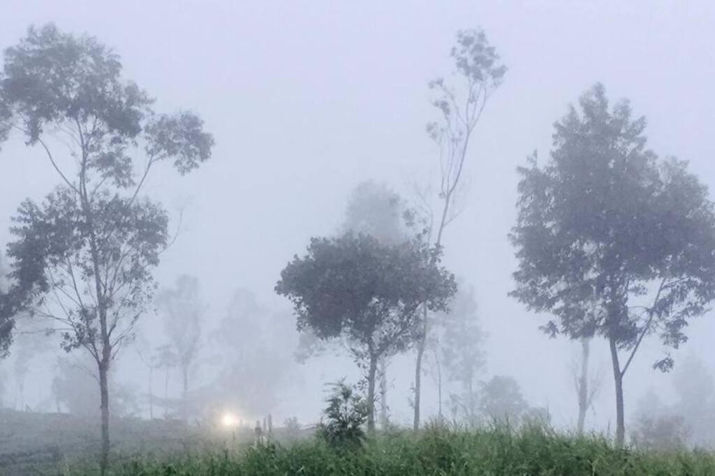 Breezy Point Vagamon Exterior foto